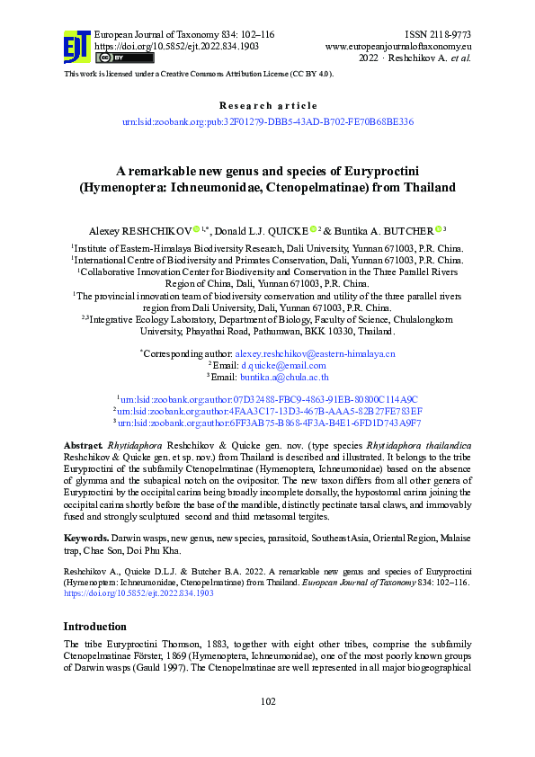 (PDF) A remarkable new genus and species of Euryproctini (Hymenoptera ...