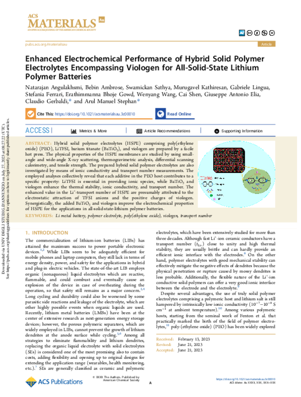 (PDF) Enhanced Electrochemical Performance of Hybrid Solid Polymer ...