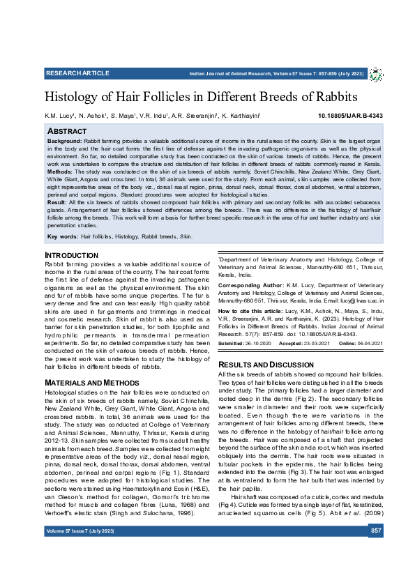 (PDF) Histology of Hair Follicles in Different Breeds of Rabbits