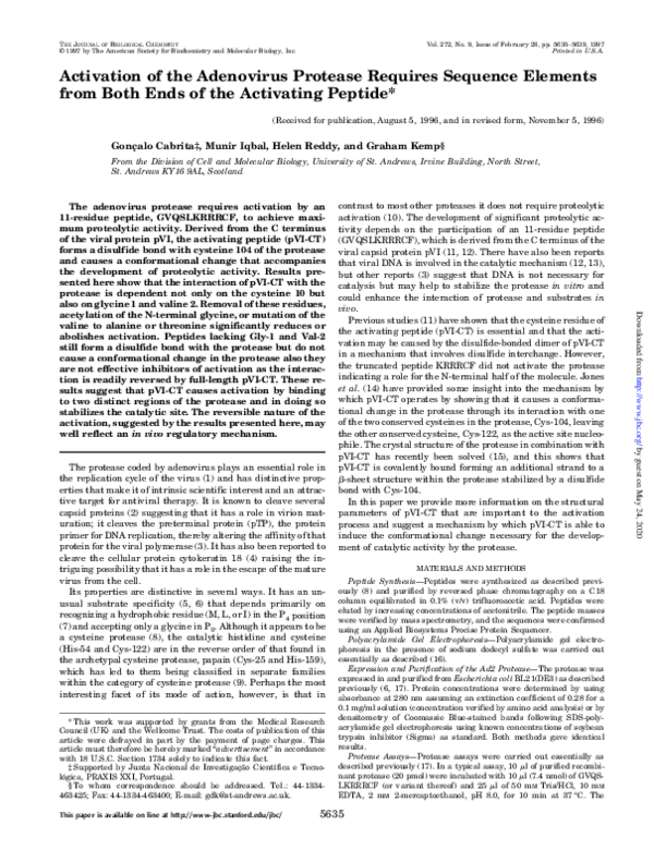 (PDF) Activation of the Adenovirus Protease Requires Sequence Elements ...