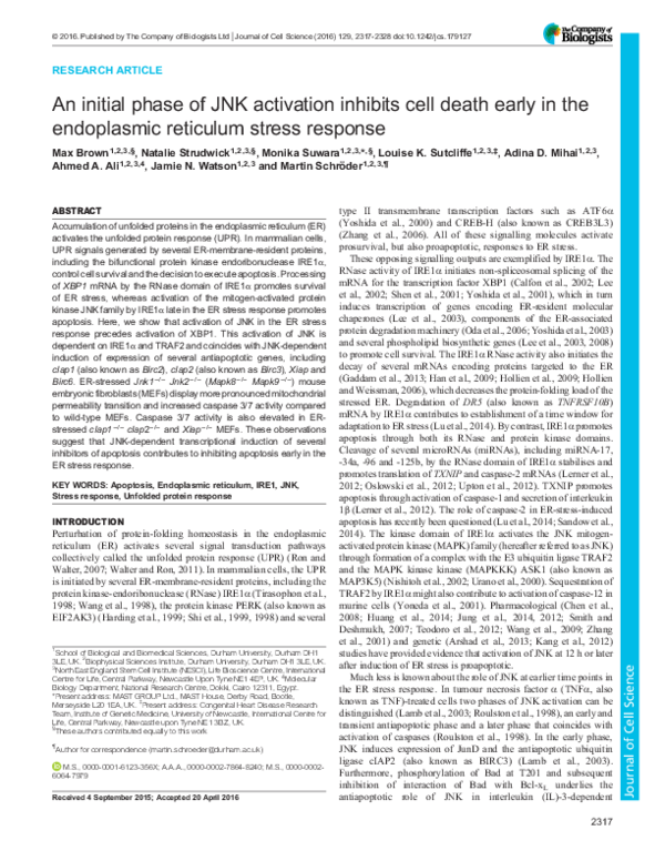 (PDF) An initial phase of JNK activation inhibits cell death early in ...
