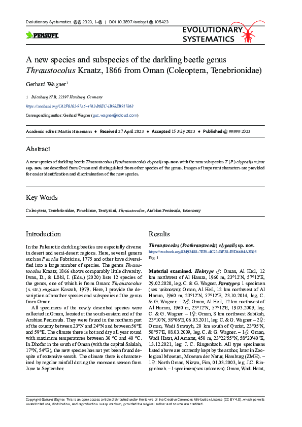(PDF) A new species and subspecies of the darkling beetle genus ...