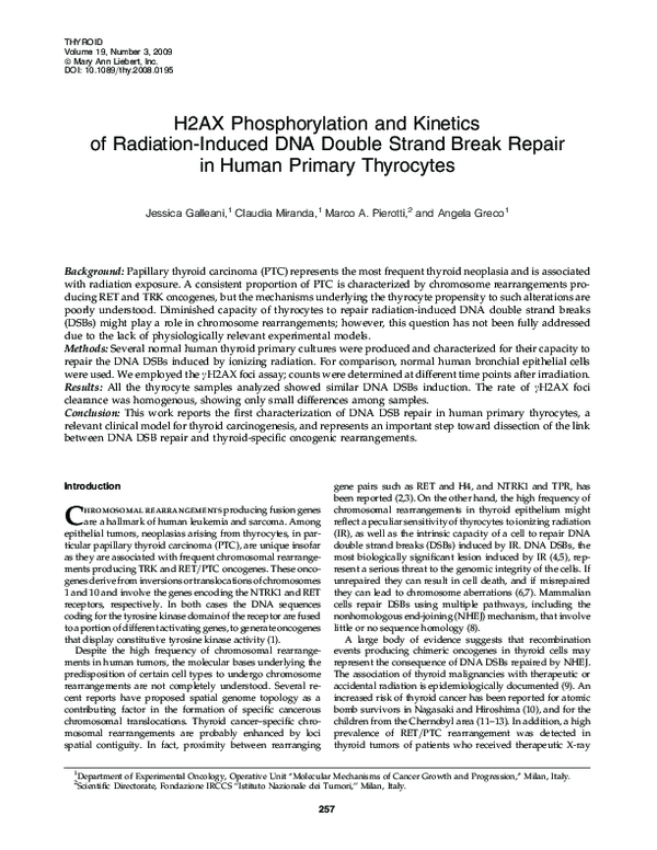 (PDF) H2AX Phosphorylation and Kinetics of Radiation-Induced DNA Double ...
