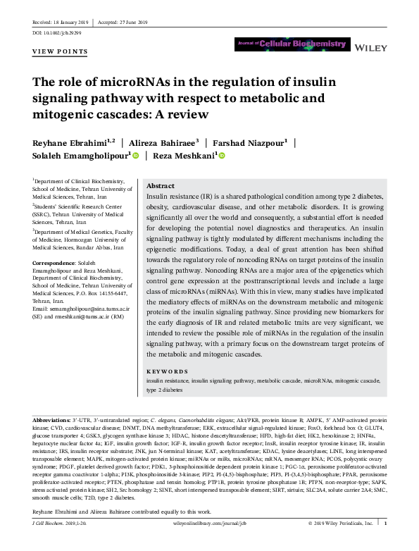 (PDF) The role of microRNAs in the regulation of insulin signaling ...