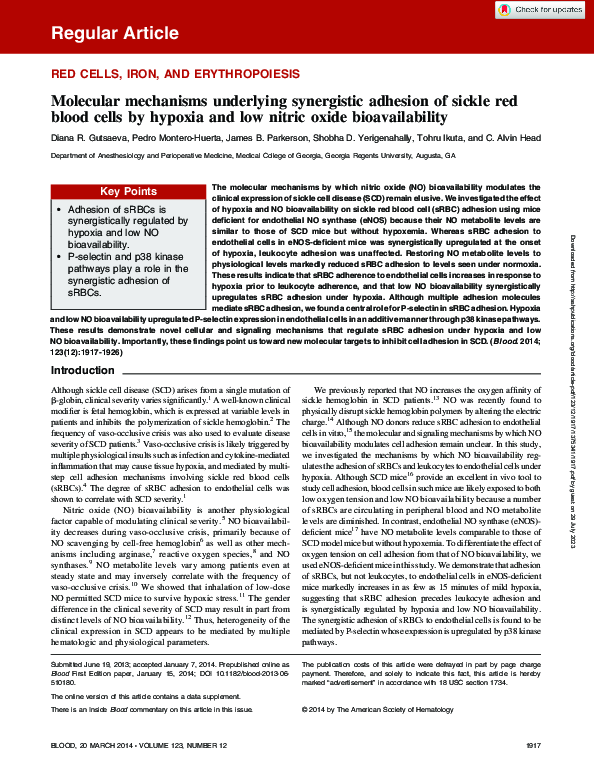 Molecular mechanisms underlying synergistic adhesion of sickle red blood cells by hypoxia and low nitric oxide bioavailability