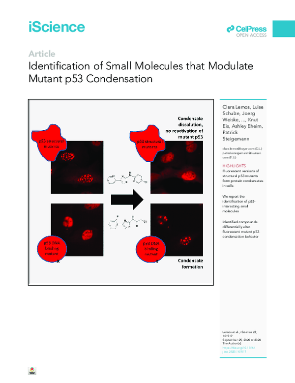 (PDF) Identification of Small Molecules that Modulate Mutant p53 ...