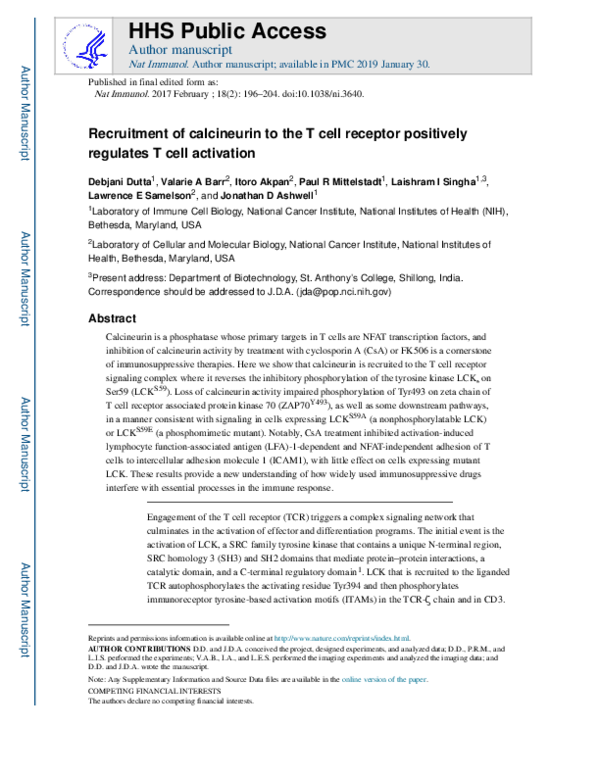 (PDF) Recruitment of calcineurin to the T cell receptor positively ...