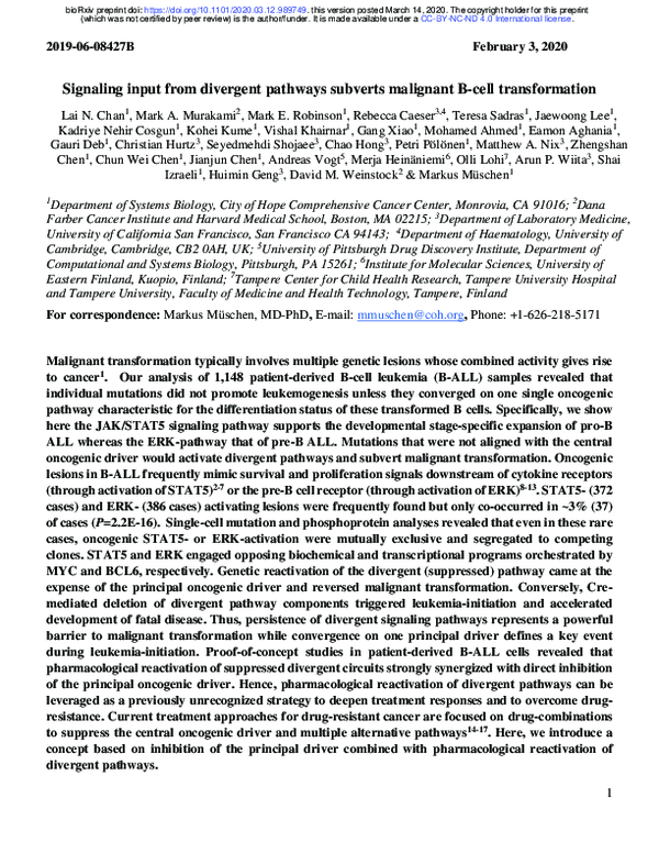 (PDF) Signaling input from divergent pathways subverts malignant Bcell