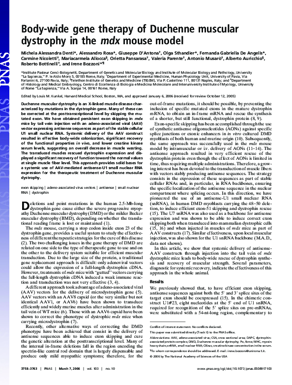 (PDF) Body-wide gene therapy of Duchenne muscular dystrophy in the mdx ...