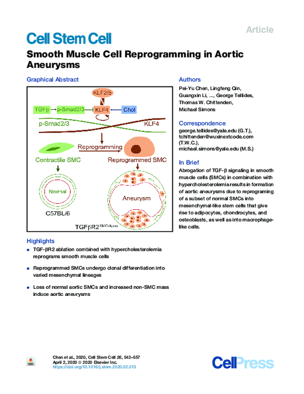 (PDF) Smooth Muscle Cell Reprogramming in Aortic Aneurysms
