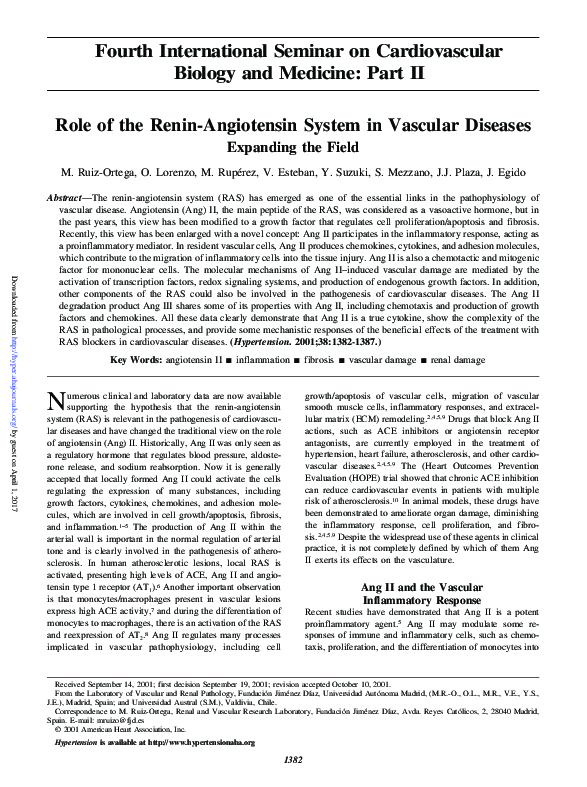 (PDF) Role of the Renin-Angiotensin System in Vascular Diseases | Marta ...