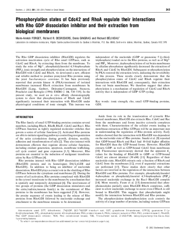 (PDF) Phosphorylation states of Cdc42 and RhoA regulate their ...