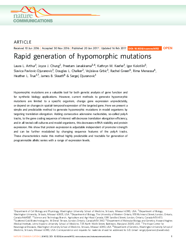 (PDF) Rapid generation of hypomorphic mutations