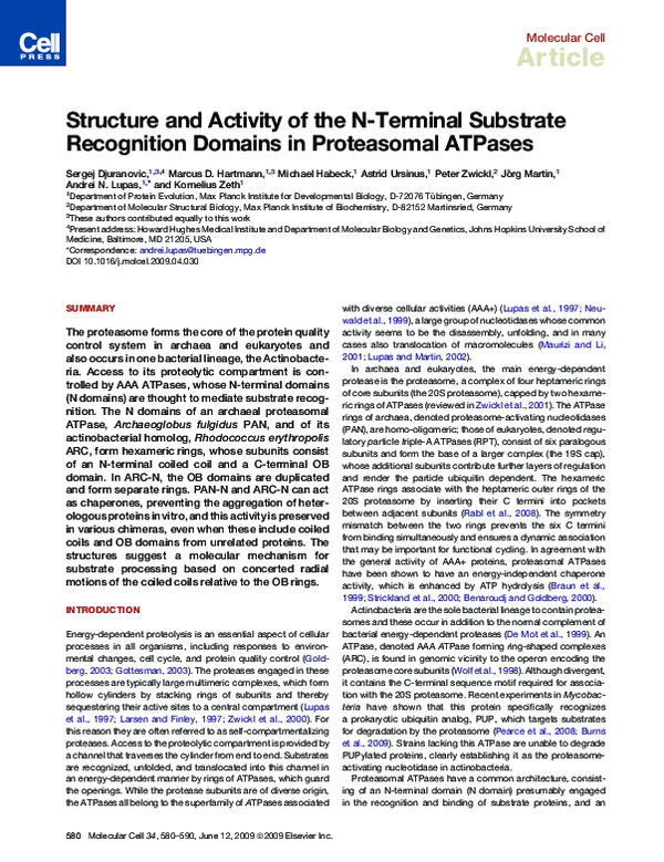 (PDF) Structure and Activity of the N-Terminal Substrate Recognition ...