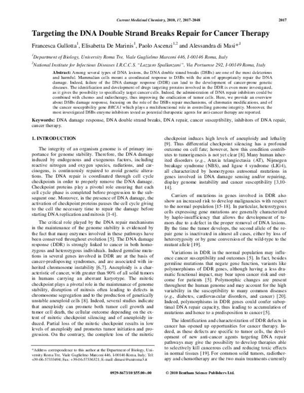 (PDF) Targeting the DNA Double Strand Breaks Repair for Cancer Therapy