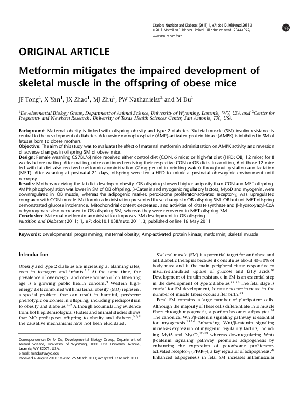 (PDF) Metformin mitigates the impaired development of skeletal muscle ...