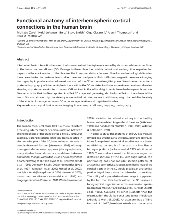 (PDF) Functional anatomy of interhemispheric cortical connections in ...