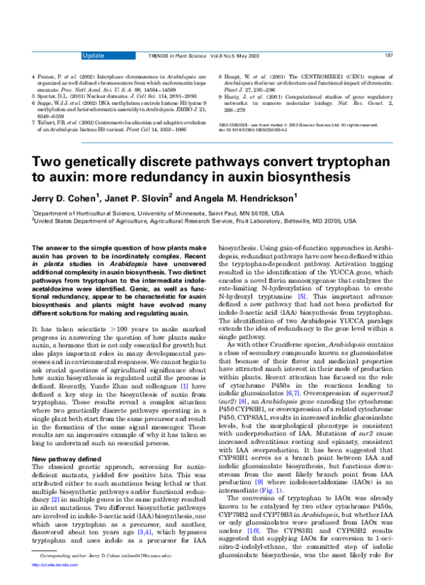 (PDF) Two genetically discrete pathways convert tryptophan to auxin ...