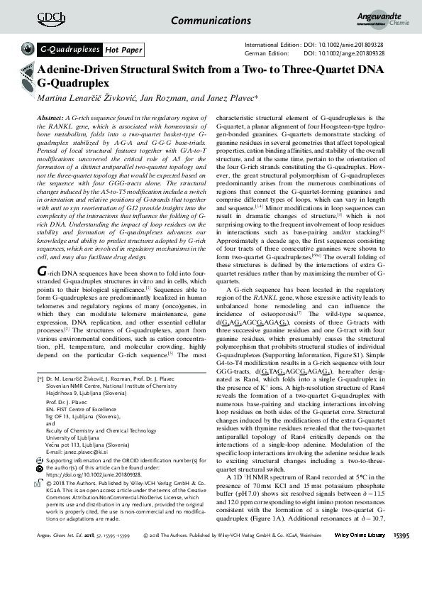 (PDF) Adenine-Driven Structural Switch from a Two- to Three-Quartet DNA ...