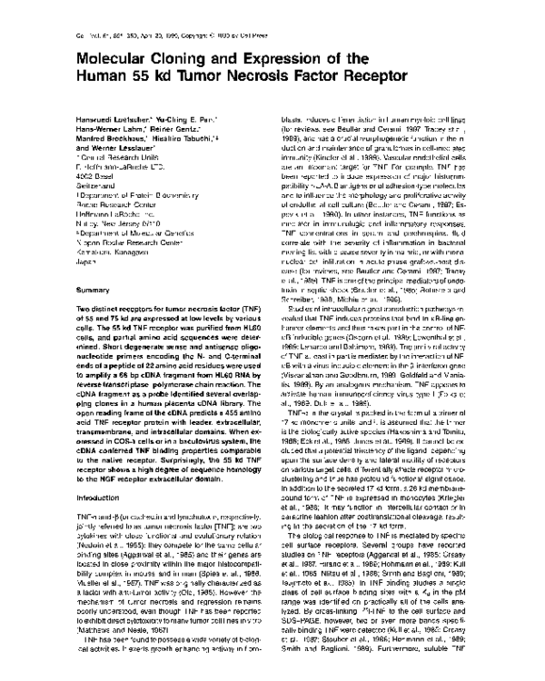(PDF) Molecular cloning and expression of the human 55 kd tumor ...