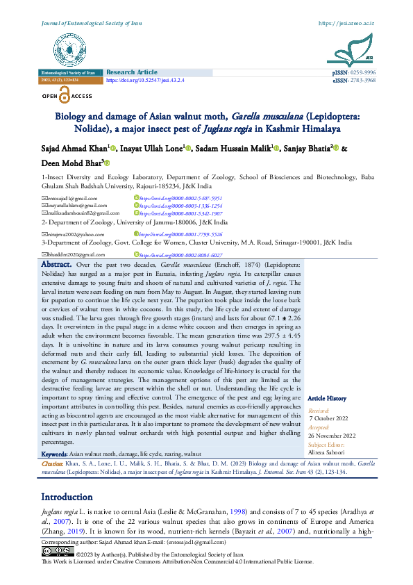 (PDF) Biology and damage of Asian walnut moth, Garella musculana ...