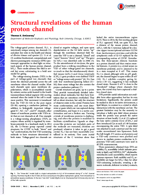 (PDF) Structural revelations of the human proton channel