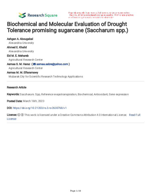 (PDF) Biochemical and Molecular Evaluation of Drought Tolerance ...