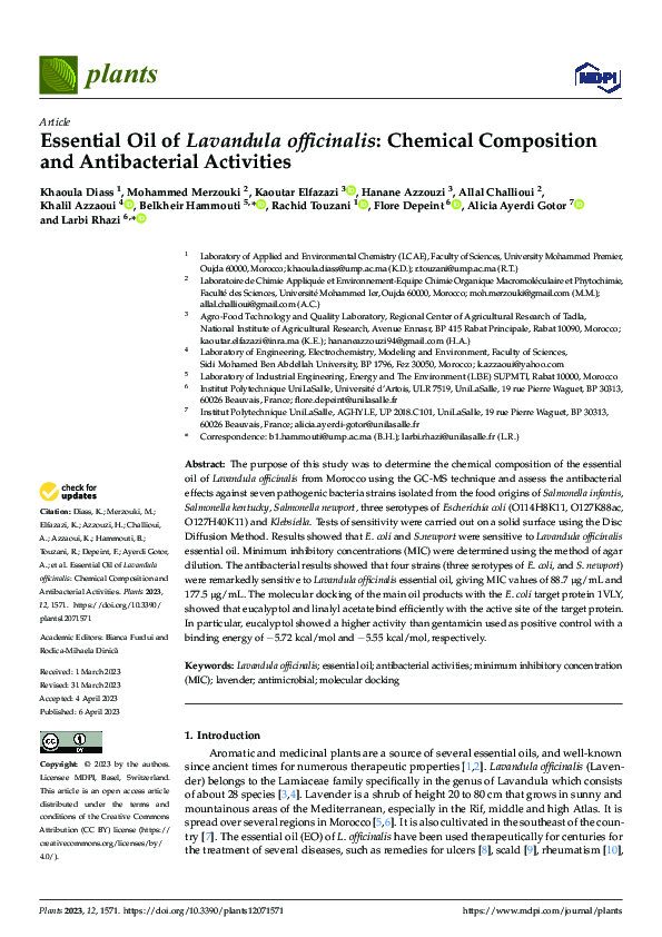 (PDF) Essential Oil of Lavandula officinalis: Chemical Composition and ...