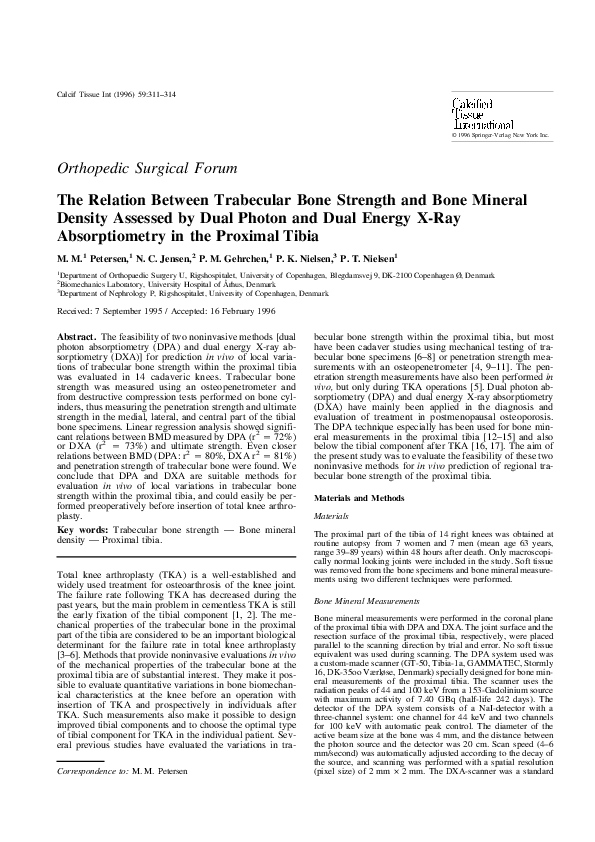 (PDF) The Relation Between Trabecular Bone Strength and Bone Mineral ...