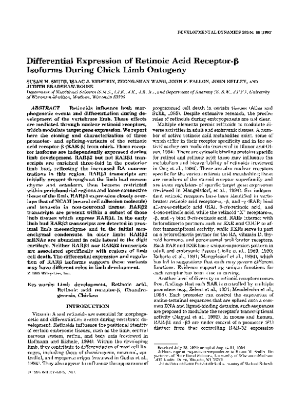 (PDF) Differential Expression of Retinoic Acid Receptor mRNA during ...