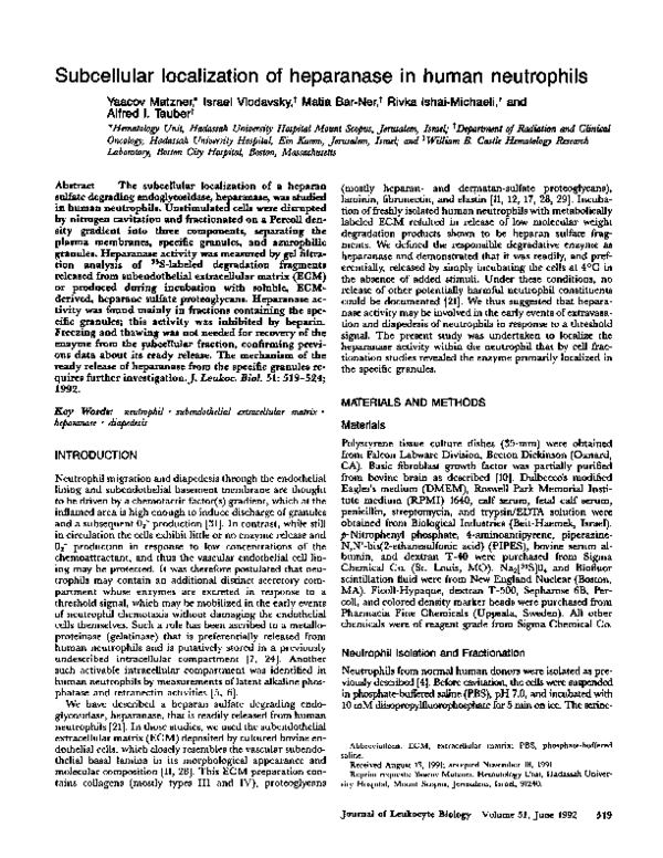 (PDF) Subcellular localization of heparanase in human neutrophils