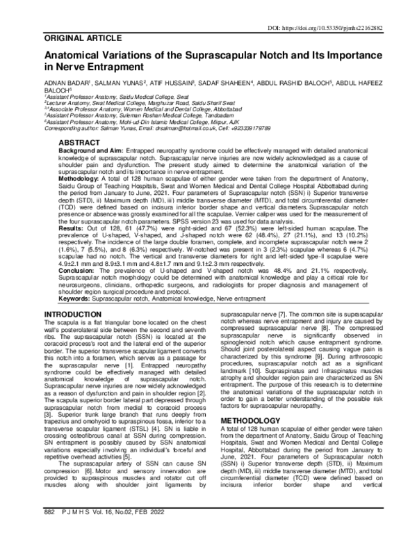 (PDF) Anatomical Variations of the Suprascapular Notch and Its ...