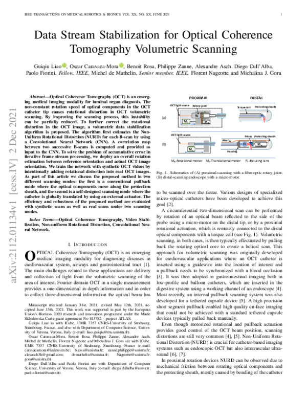 (PDF) Data Stream Stabilization for Optical Coherence Tomography ...