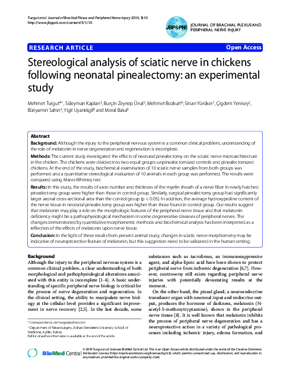 Stereological analysis of sciatic nerve in chickens following neonatal pinealectomy: an experimental study