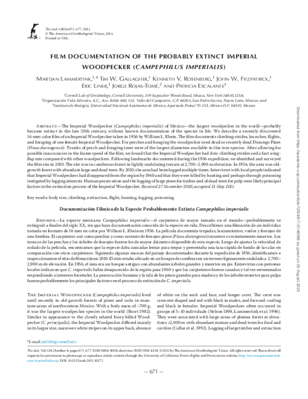 (PDF) Film documentation of the probably extinct Imperial Woodpecker