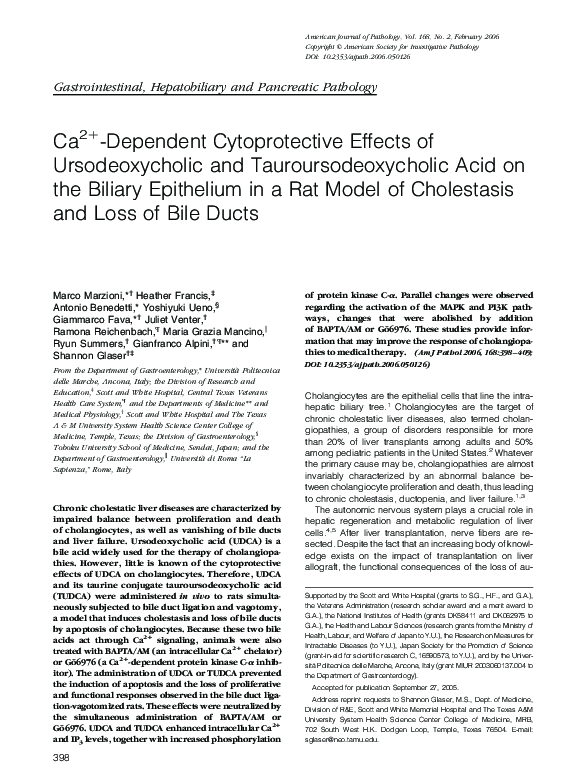 (PDF) Ca2+-Dependent Cytoprotective Effects of Ursodeoxycholic and ...