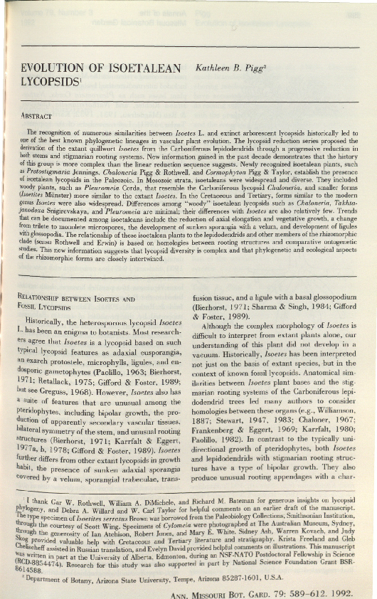 (PDF) Evolution of Isoetalean Lycopsids