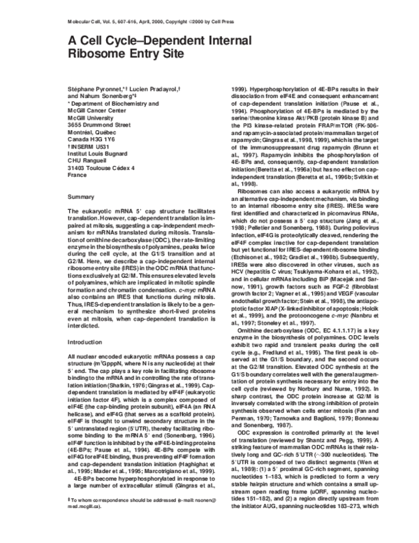 (PDF) A Cell Cycle–Dependent Internal Ribosome Entry Site