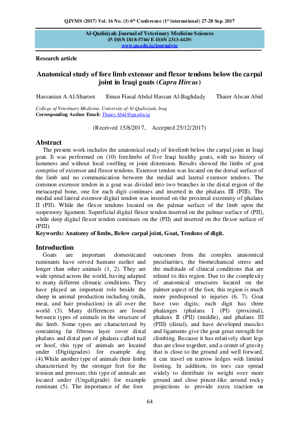 (PDF) Anatomical study of fore limb extensor and flexor tendons below ...