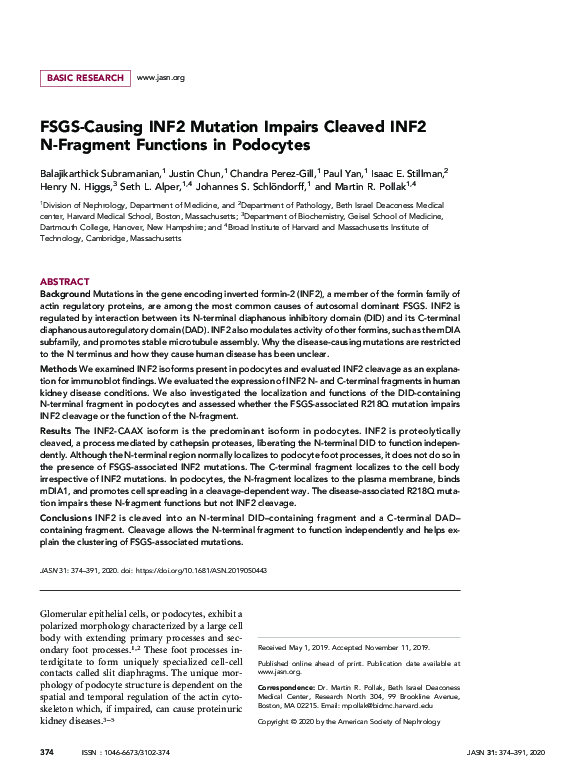 (PDF) FSGS-Causing INF2 Mutation Impairs Cleaved INF2 N-Fragment ...