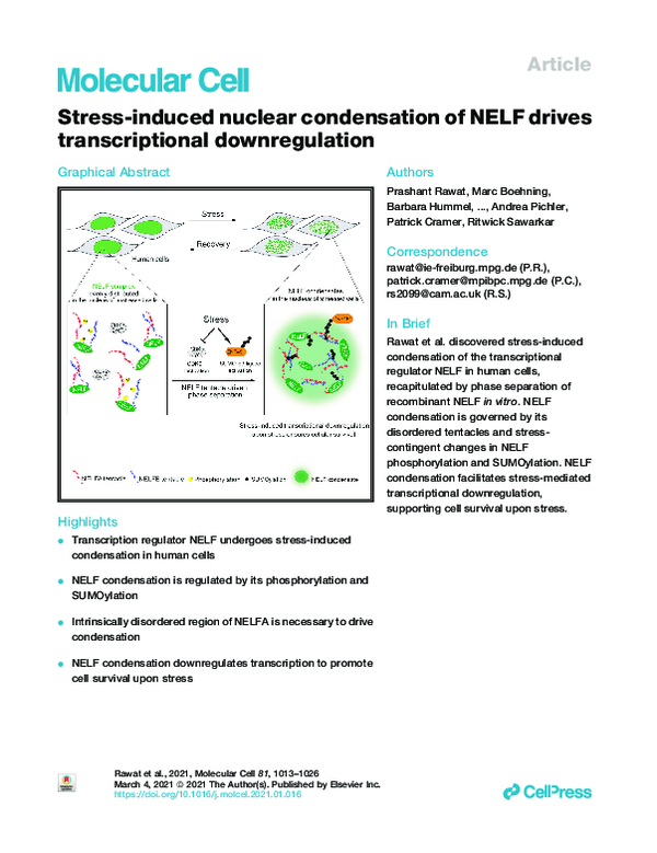 (PDF) Stress-induced nuclear condensation of NELF drives ...