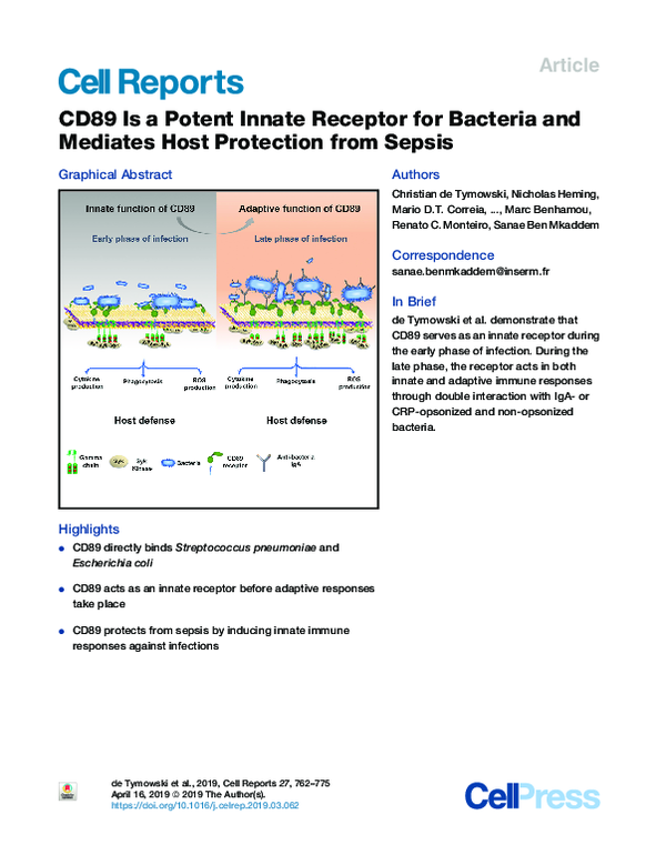 (PDF) CD89 Is a Potent Innate Receptor for Bacteria and Mediates Host ...