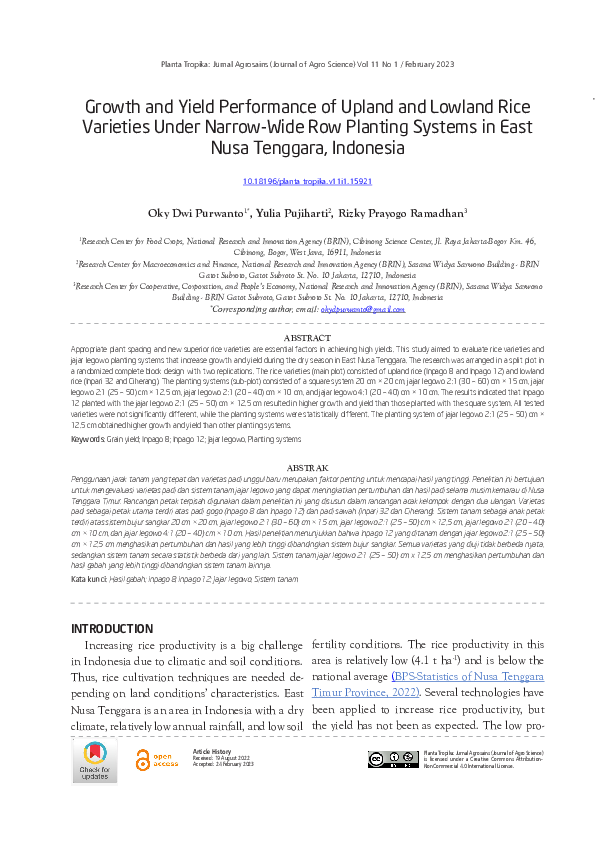 (PDF) Growth and Yield Performance of Upland and Lowland Rice Varieties ...