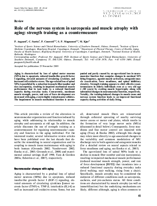 (PDF) Role of the nervous system in sarcopenia and muscle atrophy with ...