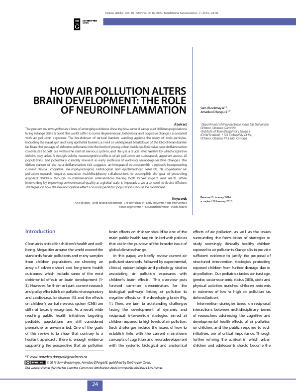 (PDF) How air pollution alters brain development: the role of ...