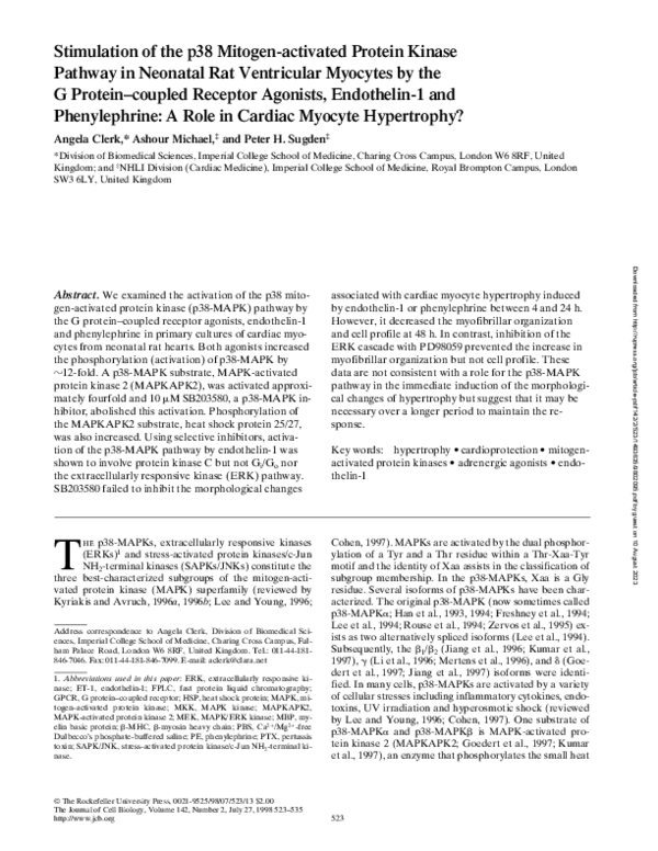 (PDF) Stimulation of p38 Mitogen-activated Protein Kinase Is an Early ...