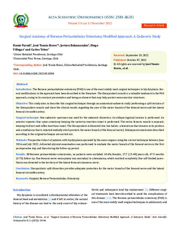 (PDF) Surgical Anatomy of Bernese Periacetabular Osteotomy Modified ...