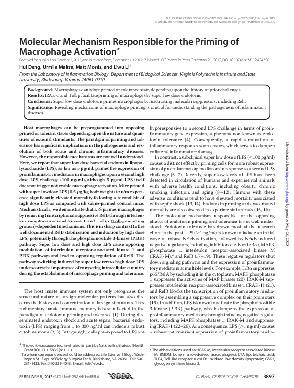 (PDF) Molecular Mechanism Responsible for the Priming of Macrophage ...