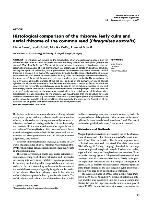 (PDF) Histological comparison of the rhizome, leafy culm and aerial ...