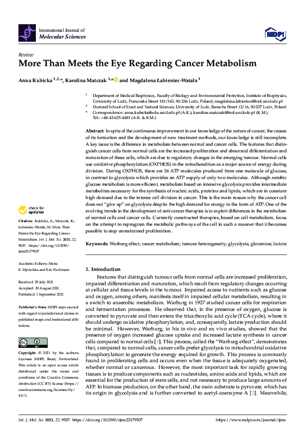 (PDF) More Than Meets the Eye Regarding Cancer Metabolism